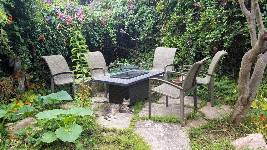 Maison d’hôte pour 3 personnes, avec jardin à San Francisco - 3