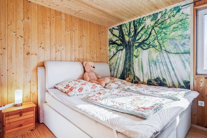 Ferienhaus für 4 Personen, mit Sauna, mit Haustier in Zeulenroda-Triebes - 3