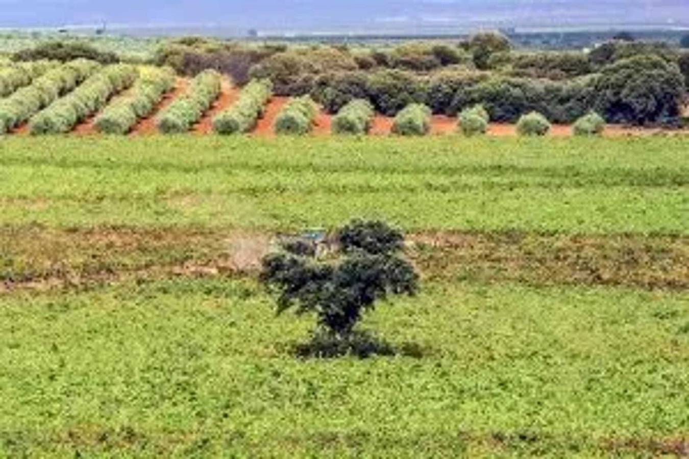 Villa Somptueuse à Fernán Caballero avec Piscine Privée in Fernán Caballero, Province de Ciudad Real