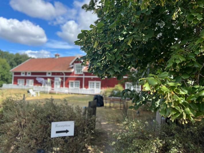 Hotel für 3 Personen, mit Terrasse und Garten, mit Haustier - 1
