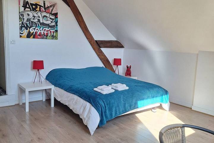 Location de vacances pour 10 personnes, avec Terrasse et Jardin à Fondettes - 4