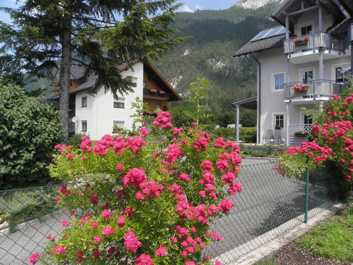 Ferienhaus für 5 Personen, mit Ausblick und Garten sowie Seeblick am Pressegger See - 2
