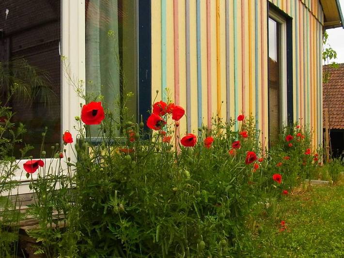 Ferienhaus in Hitzacker mit Wifi in Hitzacker, Elbtalaue