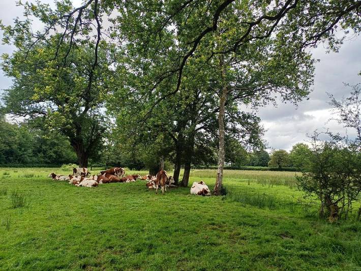 Location de vacances pour 14 personnes, avec Terrasse ainsi que Jardin et Vue à Neuville-lès-Decize