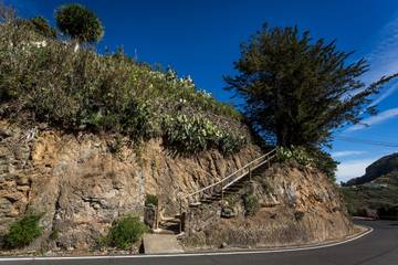 Casa Rural para 4 Personas en Teror, Gran Canaria Norte, Foto 4