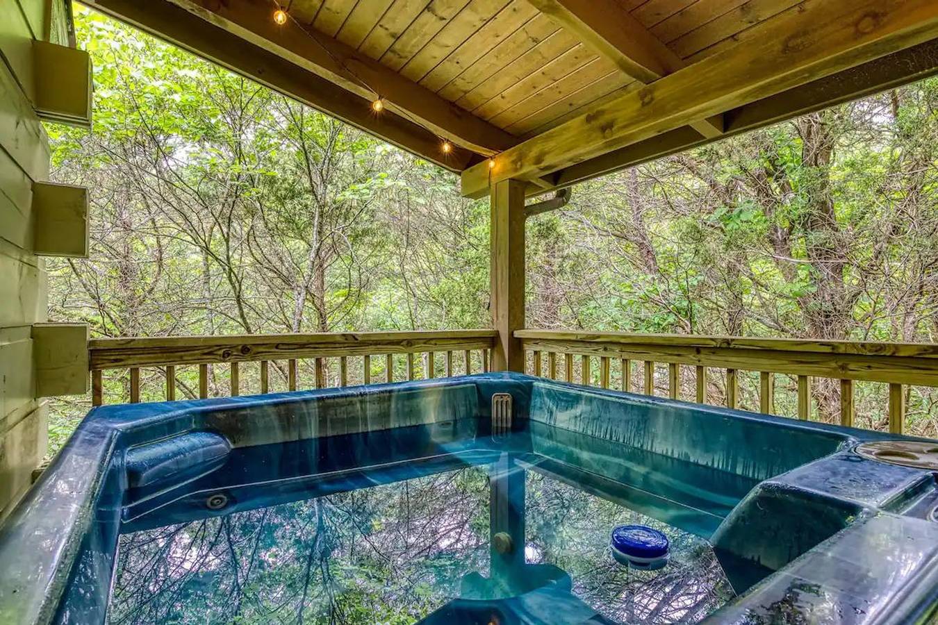 Entire apartment, Lake / Mountain Cabin w/Pool, Game Room, Hot Tub in Douglas Lake