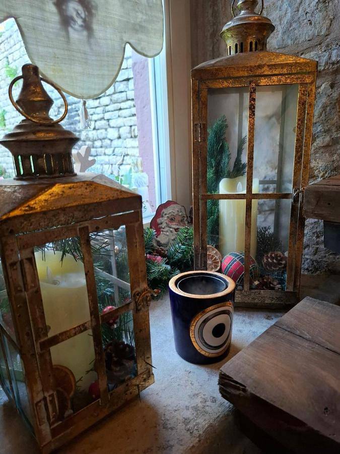 Location de vacances pour 2 personnes, avec jardin ainsi que sauna et vue à Fénétrange - 3