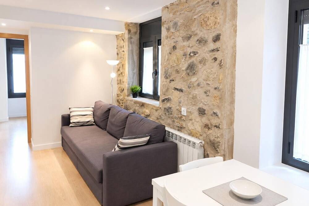 Entire apartment, Apartment 2 rooms in Puigcerdà Center (Accessible) in Puigcerdà, Catalan Pyrenees