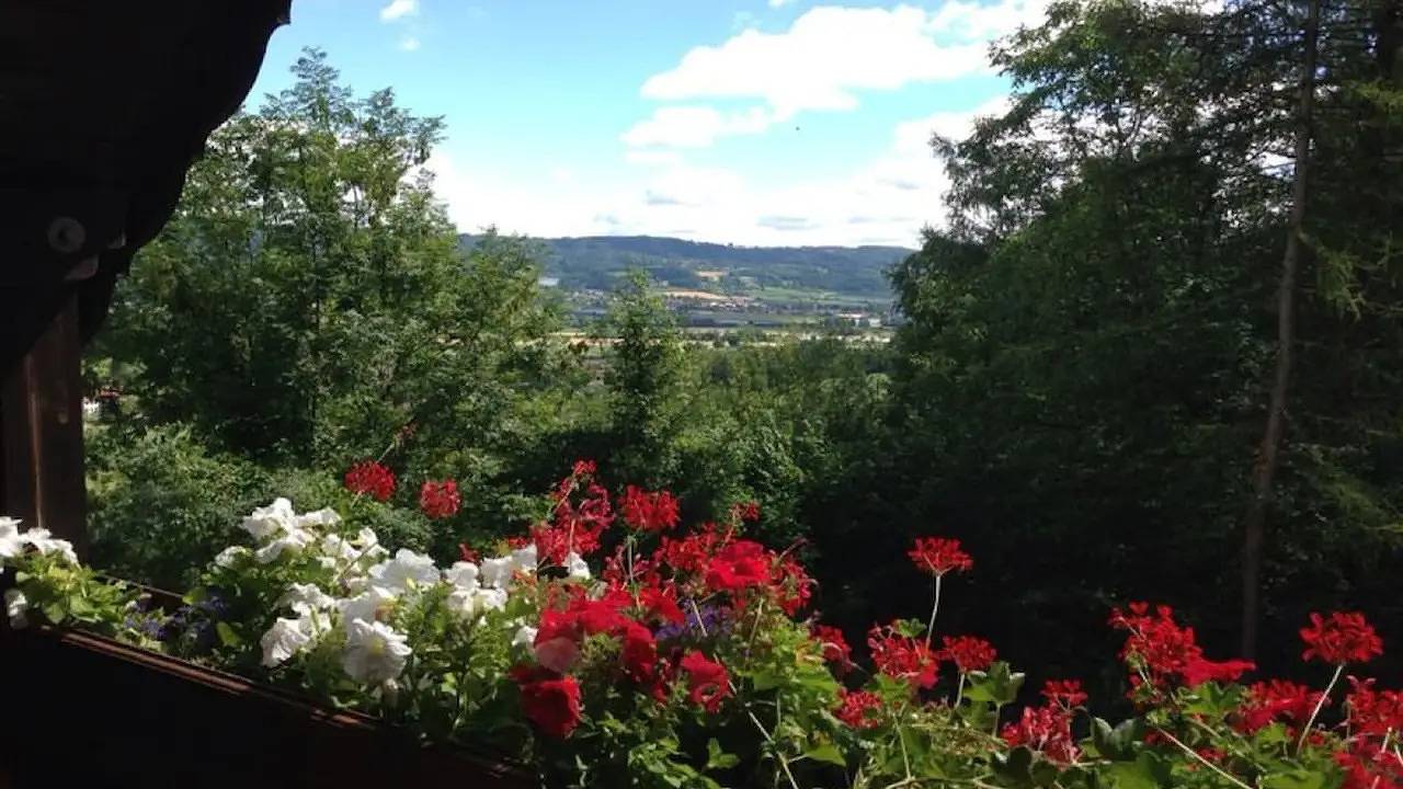 Ferienhaus für 5 Personen (70 m²) in Überlingen in Überlingen, Region Bodensee-Oberschwaben