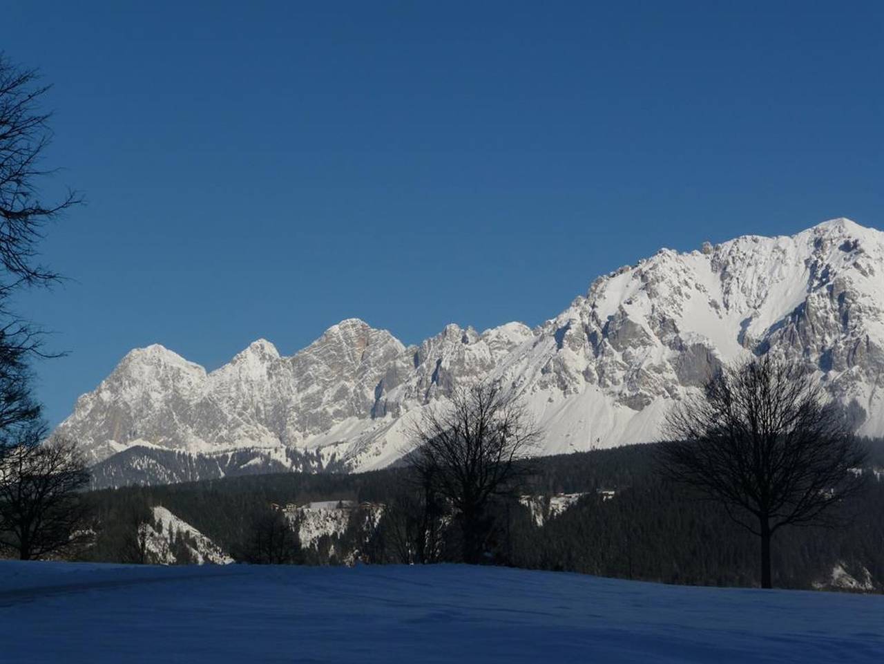 Ganze Ferienwohnung, Steinwenderhof - Appartement, 1 Schlafraum, 1x Dusche/Wc in Rohrmoos, Schladming-Dachstein