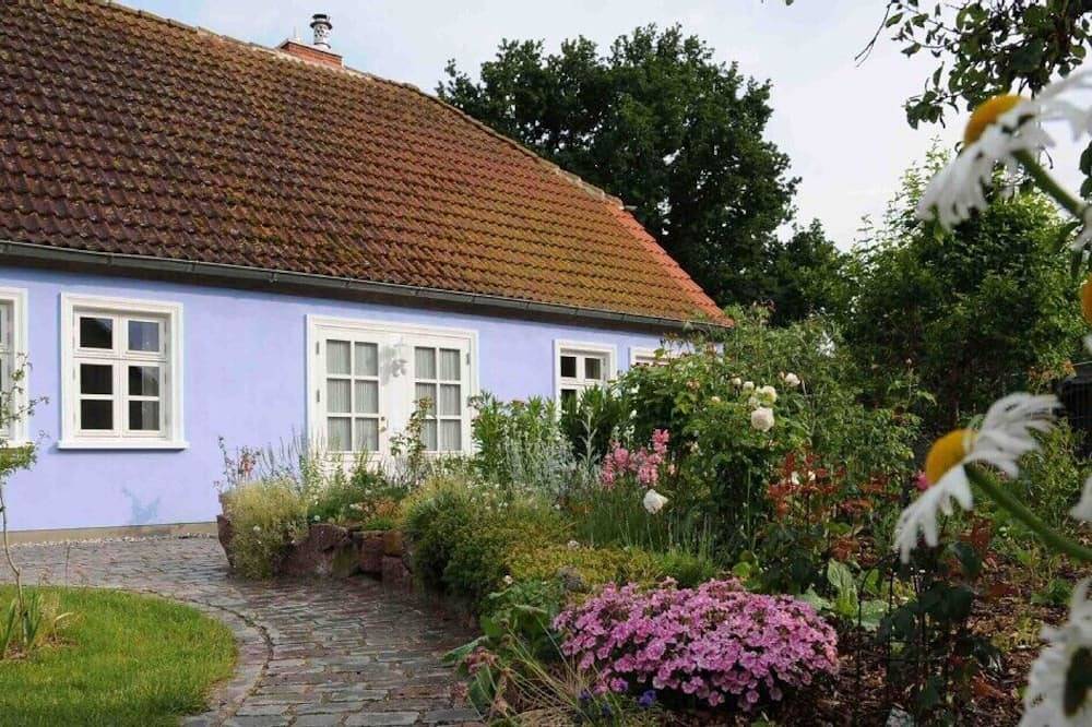 Exklusives Wohlfühlhaus mit Kaminofen in romantischem Bauerngarten auf Usedom in Warthe, Rankwitz