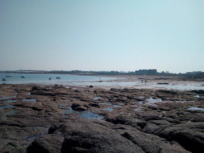 Location de vacances pour 9 personnes, avec vue et jardin, animaux acceptés à Montfarville - 4