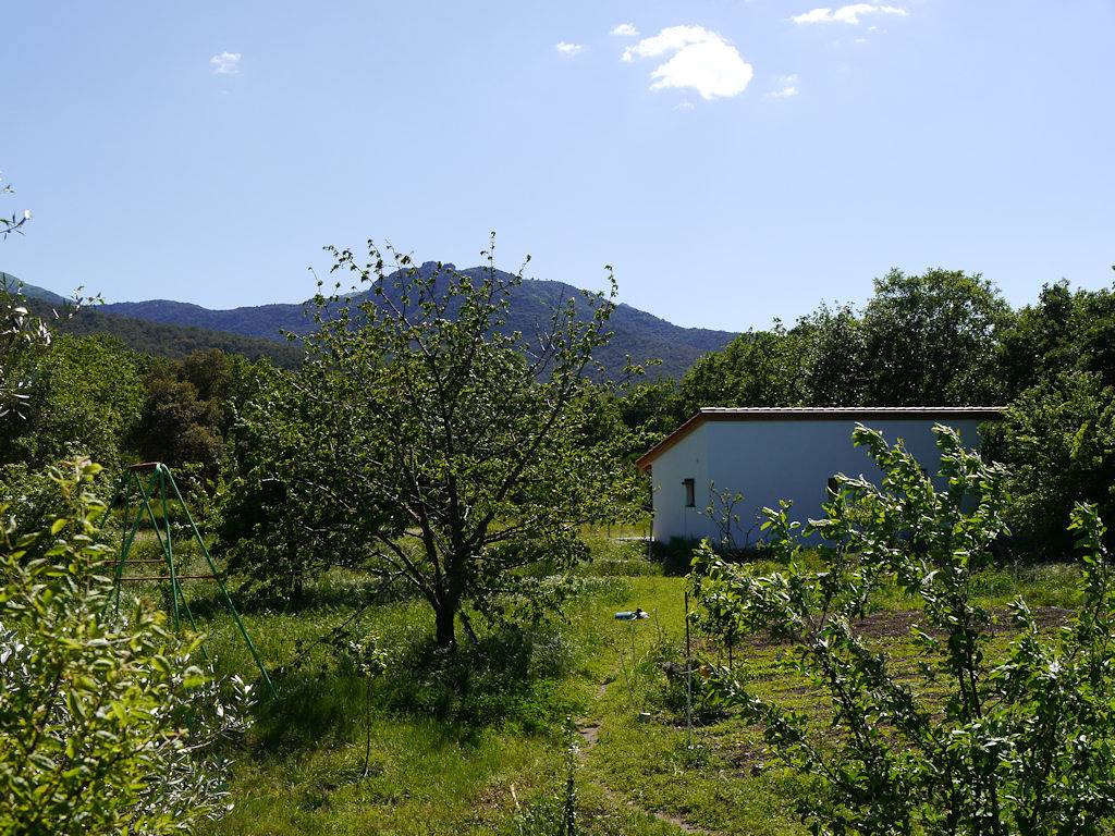 Gîte du Roua - Mas Vermell in Côte Vermeille, Argelès-sur-Mer