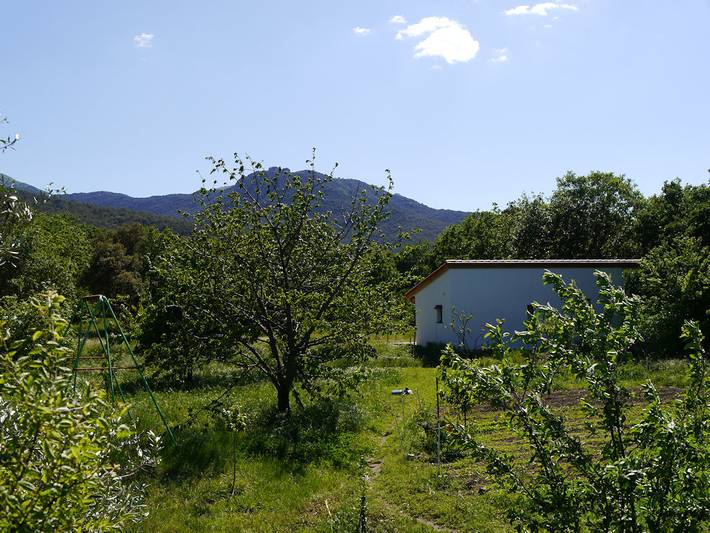 Gîte pour 4 personnes, avec jardin et terrasse à Argelès-sur-Mer - 3