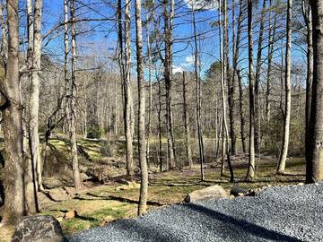Log Cabin for 4 Guests in Fontana Lake, Swain County, Picture 2