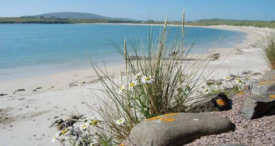 Hostel für 4 Personen, mit Garten auf den Shetland Inseln - 2