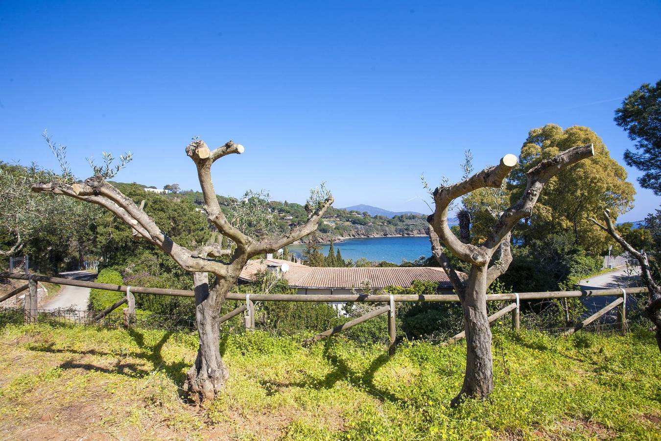 Residenza Il Gabbiano - Villino I Limoni-Villino I Limoni in Ile d'Elbe