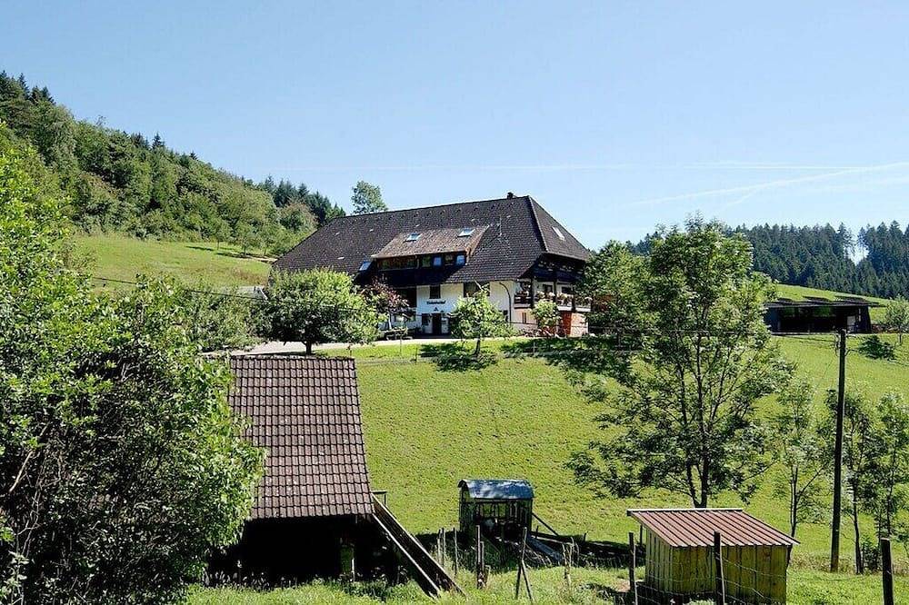 Rinkenbachhof Komfortable Ferienresidenz in Schenkenzell, Kinzigtal