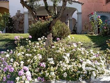 Villa per 3 Persone in Budoni, Olbia-Tempio, Foto 1