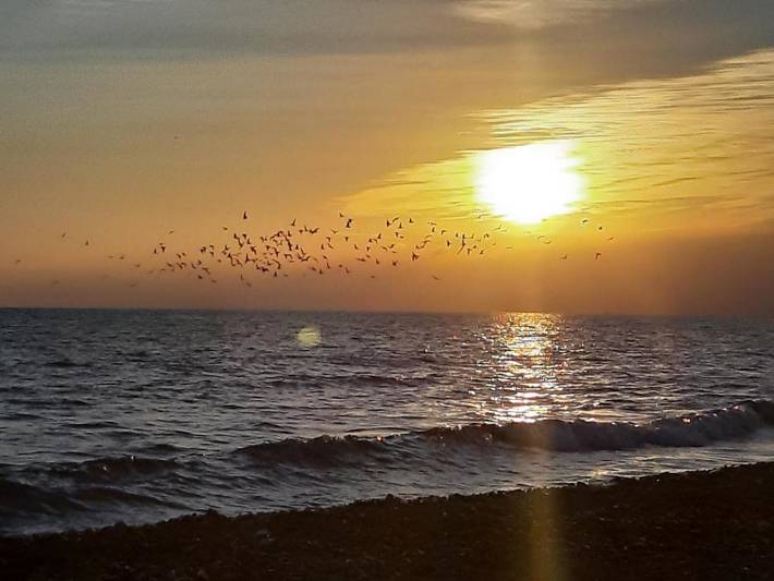 Villa pour 8 personnes, avec vue ainsi que jardin et piscine, animaux acceptés à Cambrils - 4