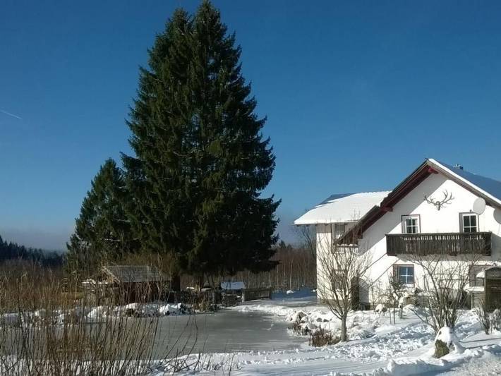 Ferienwohnung für 6 Personen, mit Balkon und Garten sowie Pool in Haidmühle