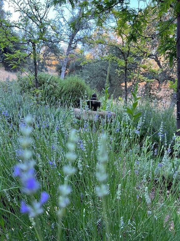 Beautiful ranch cottage close to Kings Canyon and Sequoia National Parks in Kings Canyon Nationalpark