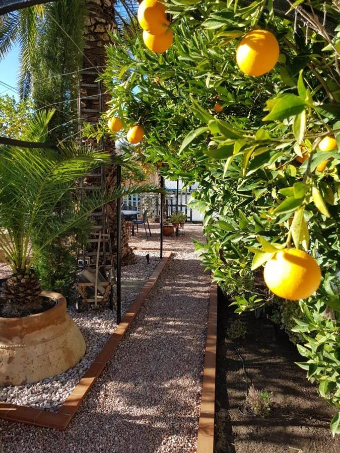 Casa rural para 2 personas, con sauna y piscina además de jardín y vistas en Valle de Lecrín - 4