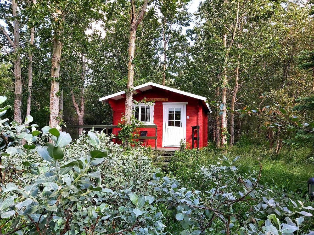 Cały apartament, Bakkakot 3 Cozy Cabin In The Woods in Hjalteyri, Northeastern Region