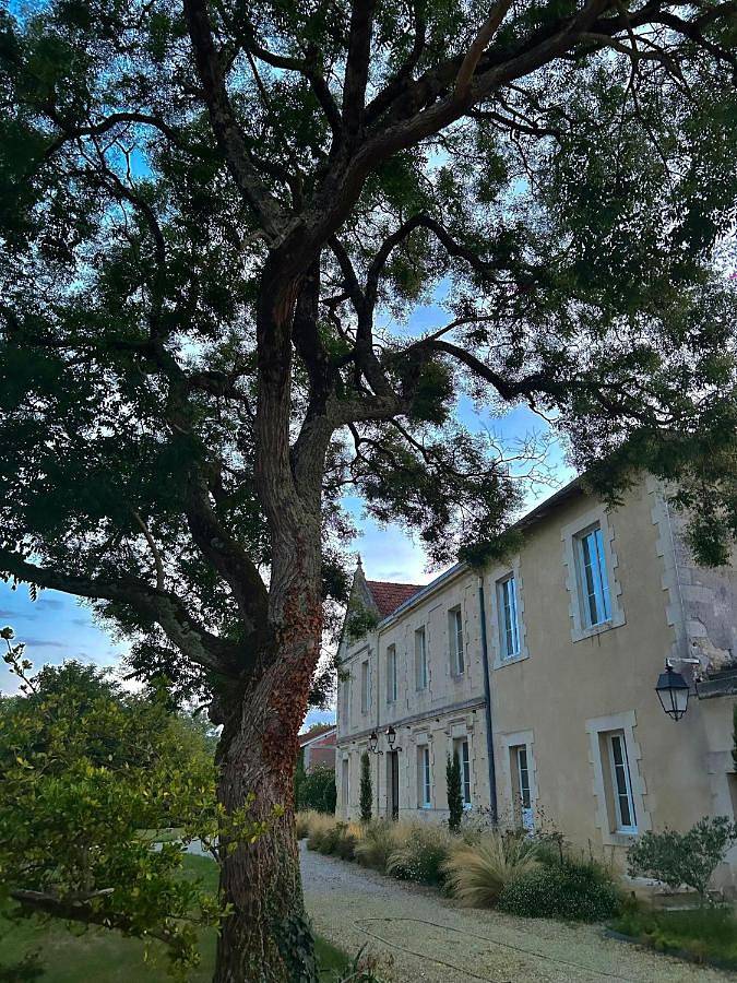 Château Bernon Maison d Hotes - Piscine et Spa in Queyrac, Parc naturel régional du Médoc