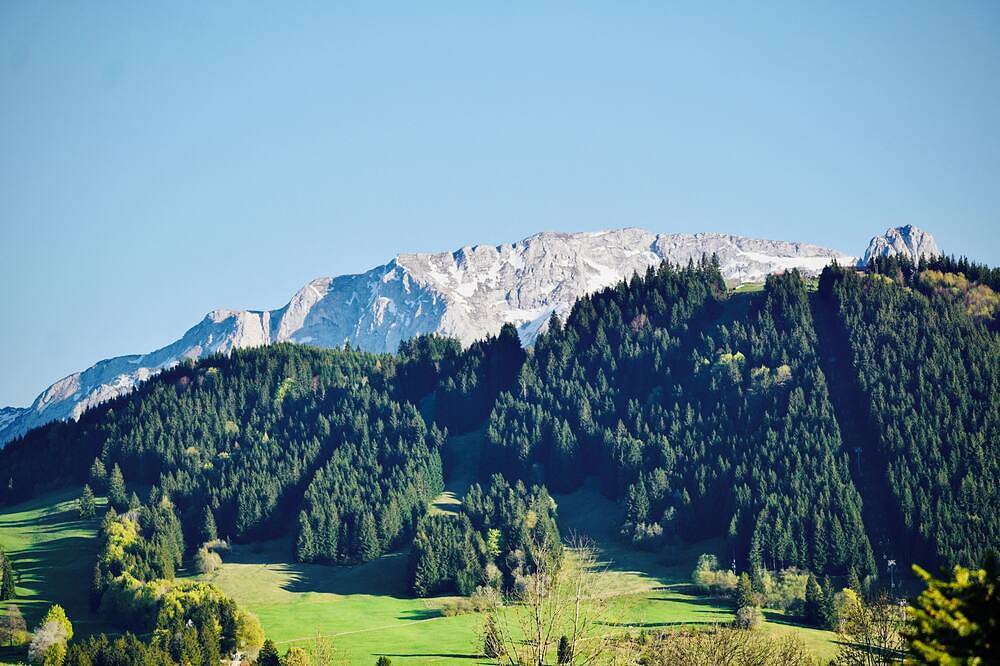 Ganze Wohnung, Ferienwohnung \"Am Alten Garten\" in ruhiger Lage mit Alpenblick! in Halblech, Bayerisch Schwaben