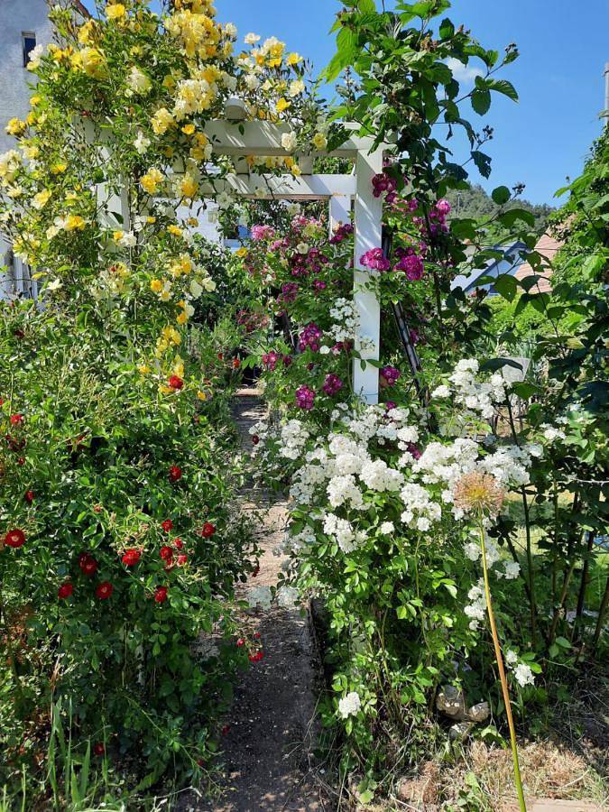 Ferienwohnung für 2 Personen, mit Terrasse und Garten sowie Ausblick
