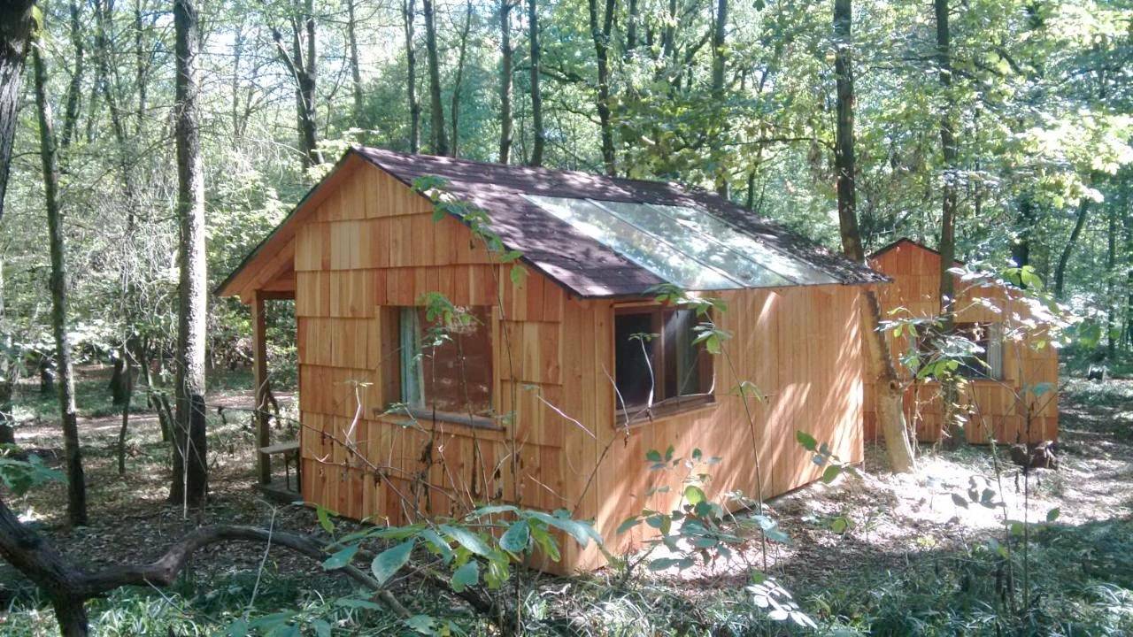 Ochys Waldfreizeitpark in Oberkreuzstetten, Mistelbach (Niederösterreich)
