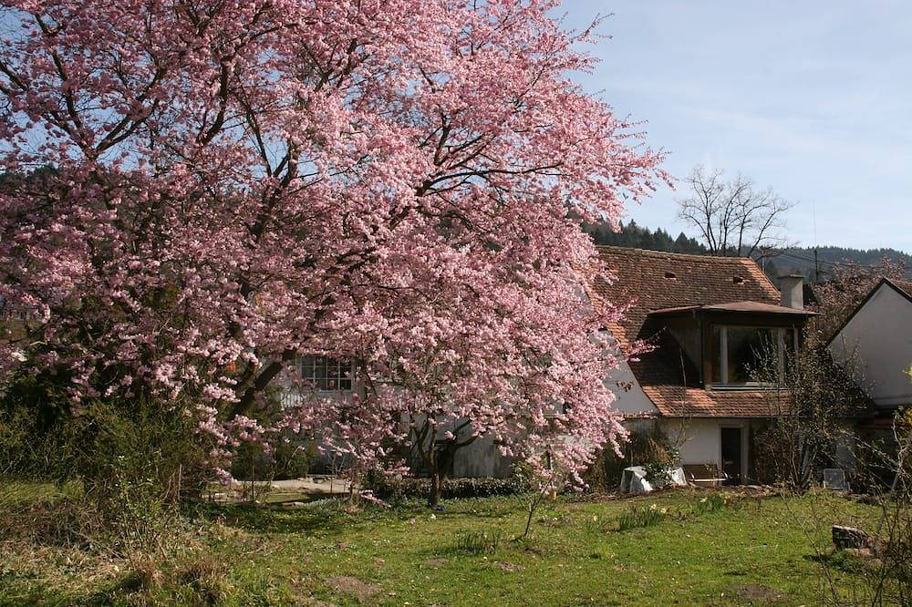 Charmant vakantiehuis, rustig en dicht bij de natuur, foto 8