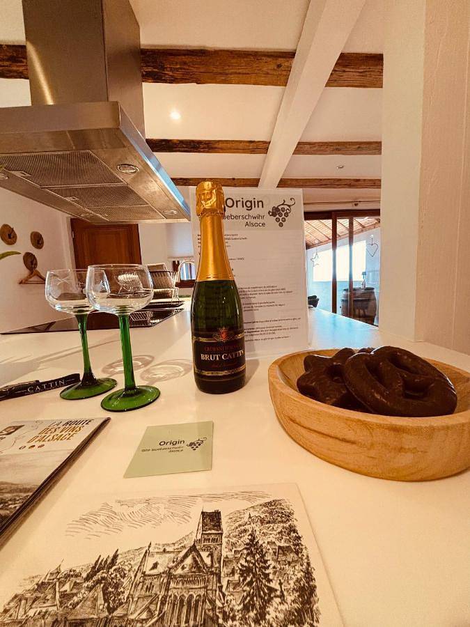 Gîte pour 5 personnes, avec jardin et vue, animaux acceptés à Gueberschwihr - 2