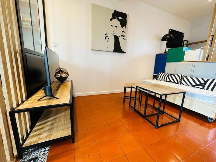 Gîte pour 3 personnes, avec terrasse à Chaponost - 3