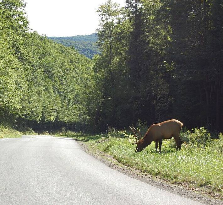Vacation rental for 6 people, with yard and terrace in Pennsylvania