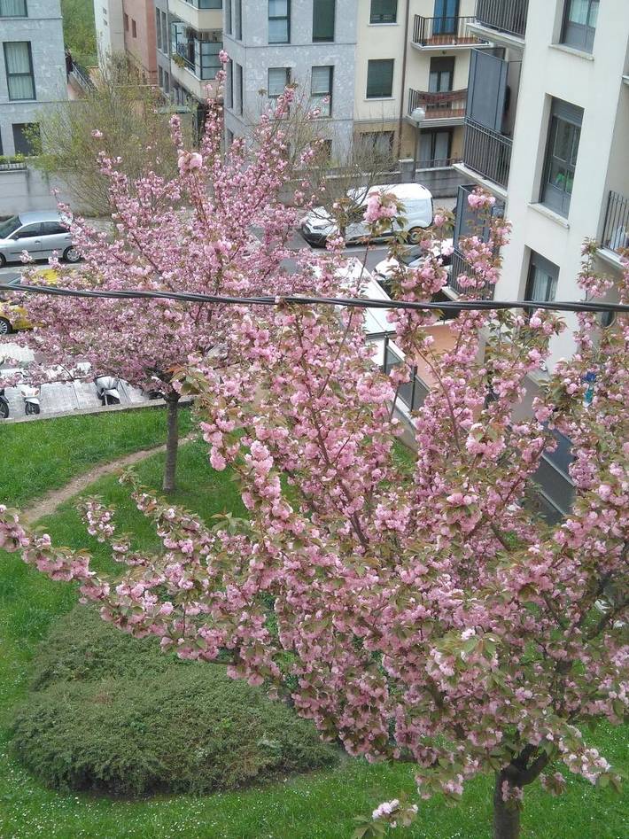 Gîte pour 4 personnes, avec vue et terrasse à Irun - 2