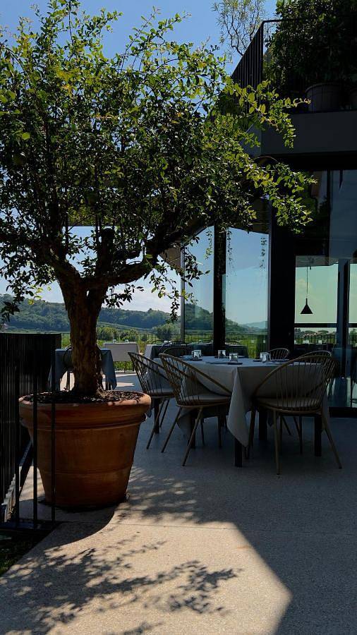 Hôtel pour 2 personnes, avec jardin et vue, animaux acceptés à Colognola ai Colli - 4