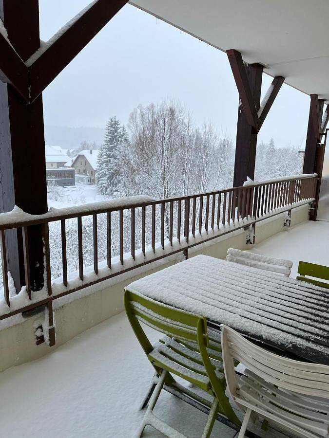 Gîte pour 4 personnes, avec vue et terrasse, animaux acceptés à Labergement-Sainte-Marie - 4