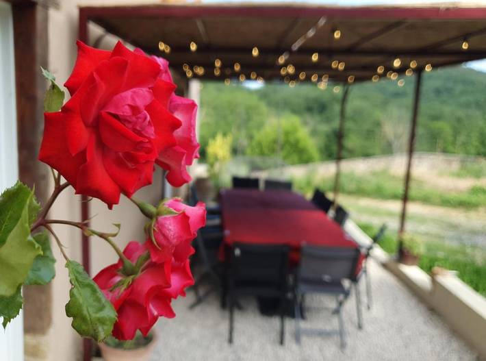 Location de vacances pour 12 personnes, avec piscine ainsi que jardin et vue, animaux acceptés à Mirepoix - 3