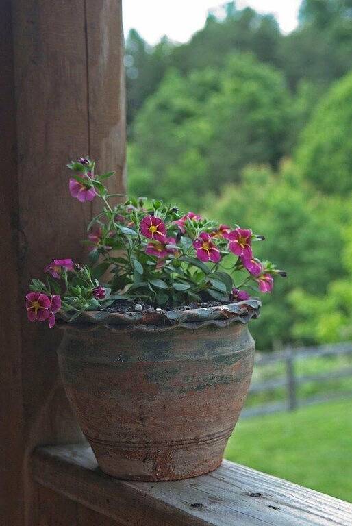 Lookout Suite-King-Ensuite-Suite-Bergblick in Blue Ridge Parkway, Roanoke County