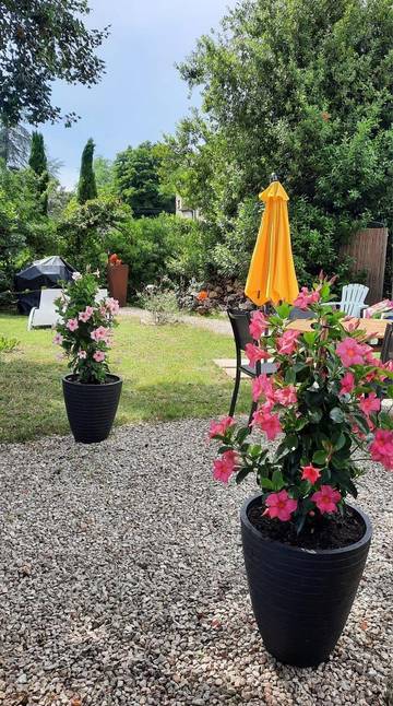 Vakantiehuis voor 2 Personen in Rocamadour, Causses du Quercy Regional Nature Park, Afbeelding 1