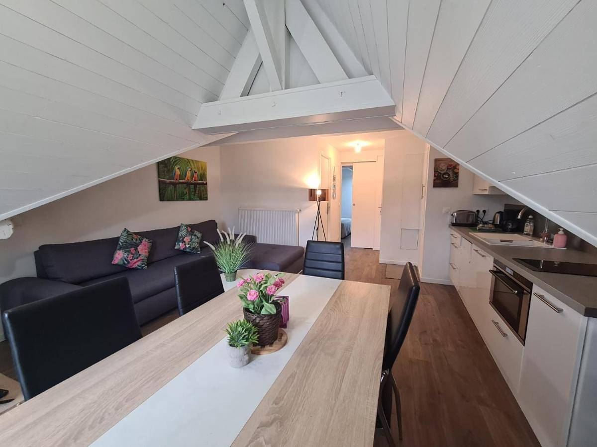 Appartement entier, One-Bedroom Superior Apartment in Reignier-Ésery, Région de Saint-Julien-en-Genevois