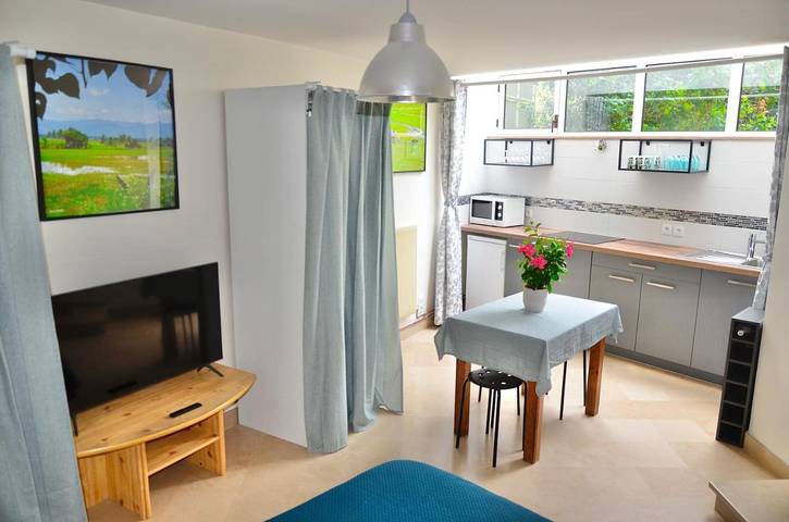 Chambre d’hôte pour 3 personnes, avec terrasse et jardin dans Val-de-Marne - 2