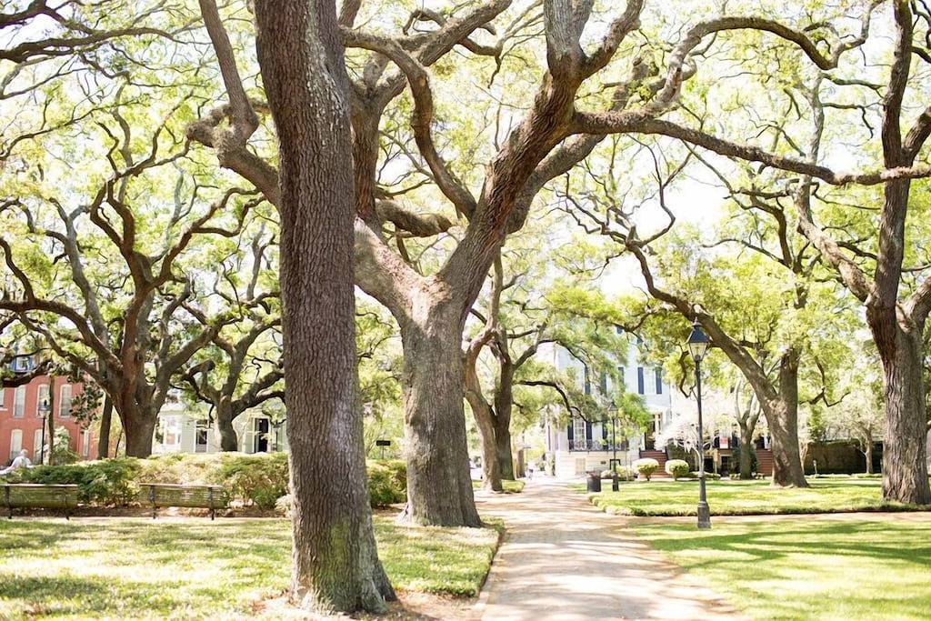 Ganze Wohnung, Bleiben Sie bei Lucky Savannah: Bird Baldwin House mit eigenem Parkplatz und Kingsize-Bett in Savannah, Chatham County