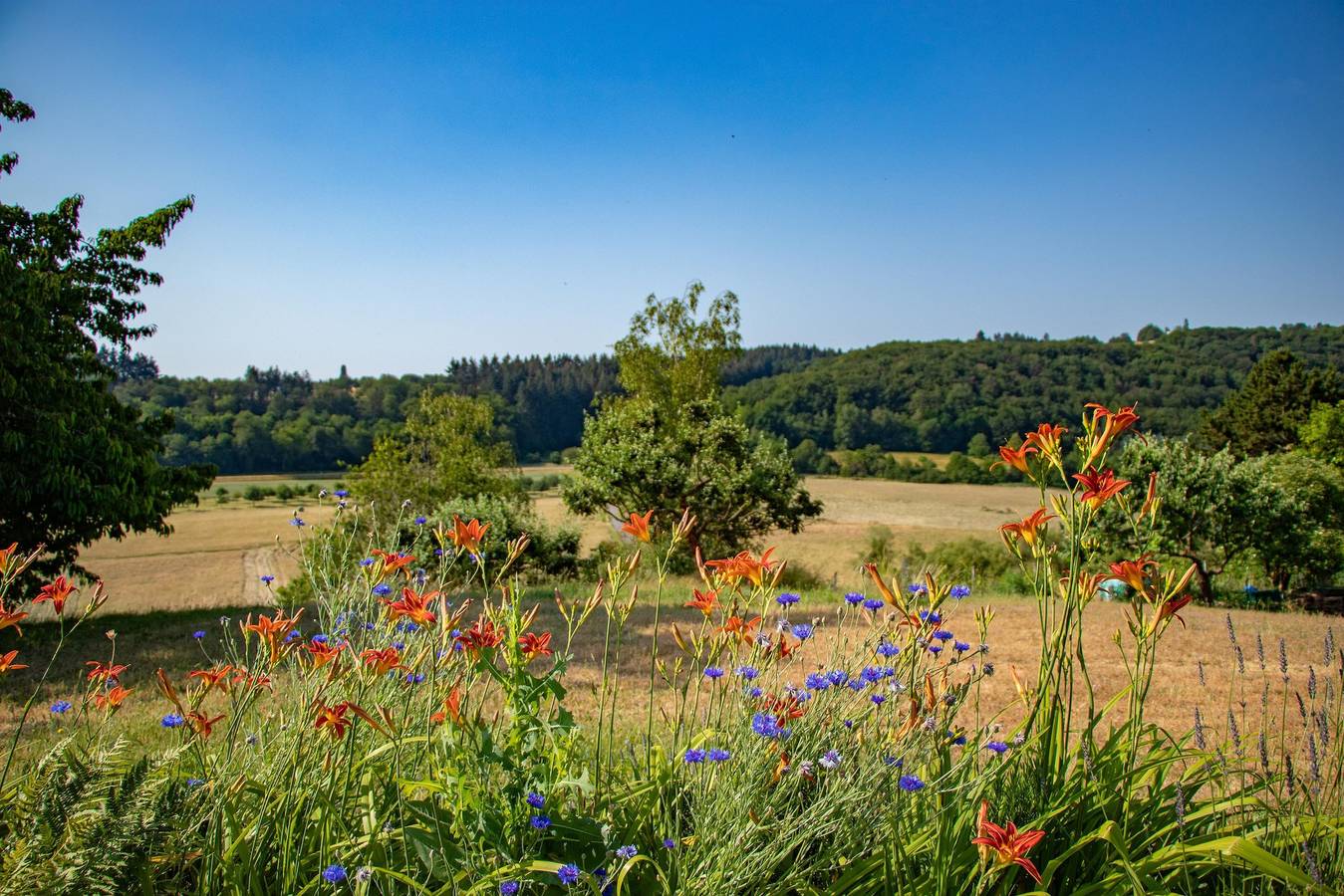 Ganze Ferienwohnung, Ferienwohnung Secco in Konz, Landkreis Trier-Saarburg