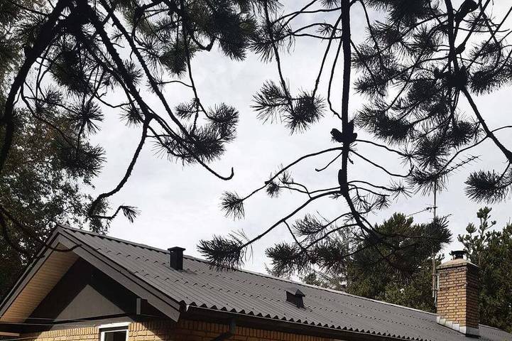 Ferienhaus für 4 Personen, mit Garten in Bratten