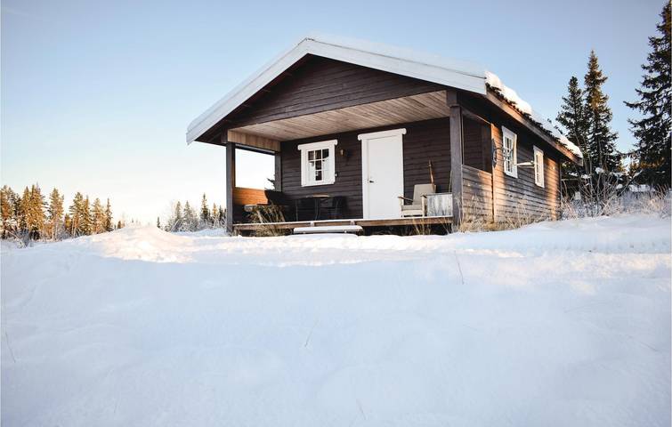 Ferienhaus für 6 Personen, mit Terrasse, mit Haustier in Ost-Norwegen - 2
