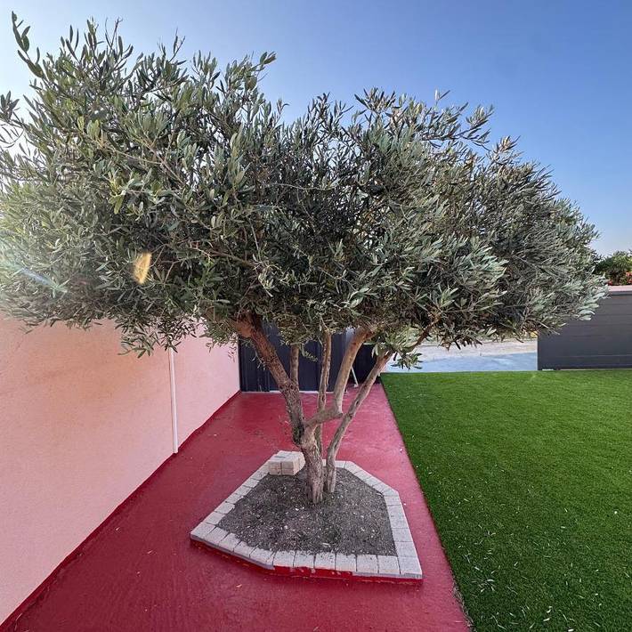 Location de vacances pour 4 personnes, avec jardin ainsi que terrasse et jacuzzi à Port-de-Bouc - 3