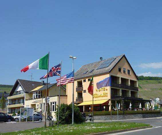 Hotel für 2 Personen, mit Balkon und Terrasse sowie Ausblick in Mehring - 4